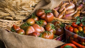 Eine Auswahl frischer Gemüsesorten, darunter Tomaten, Zwiebeln und Paprika, präsentiert in rustikaler Umgebung mit Jutegewebe und Weidwerk.