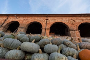 Detalle del exterior