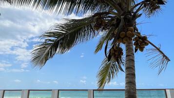 Family Room | Beach/ocean view
