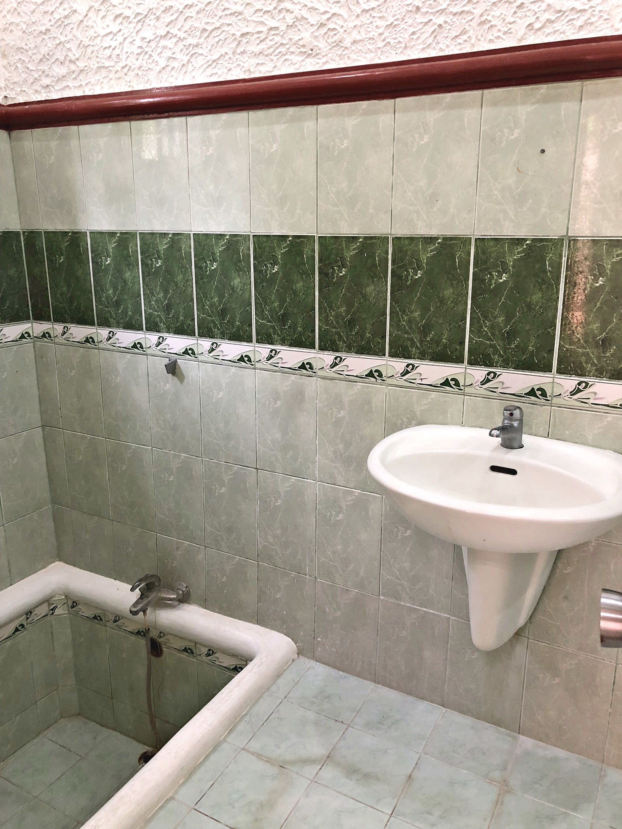 Un baño con lavabo y ducha.