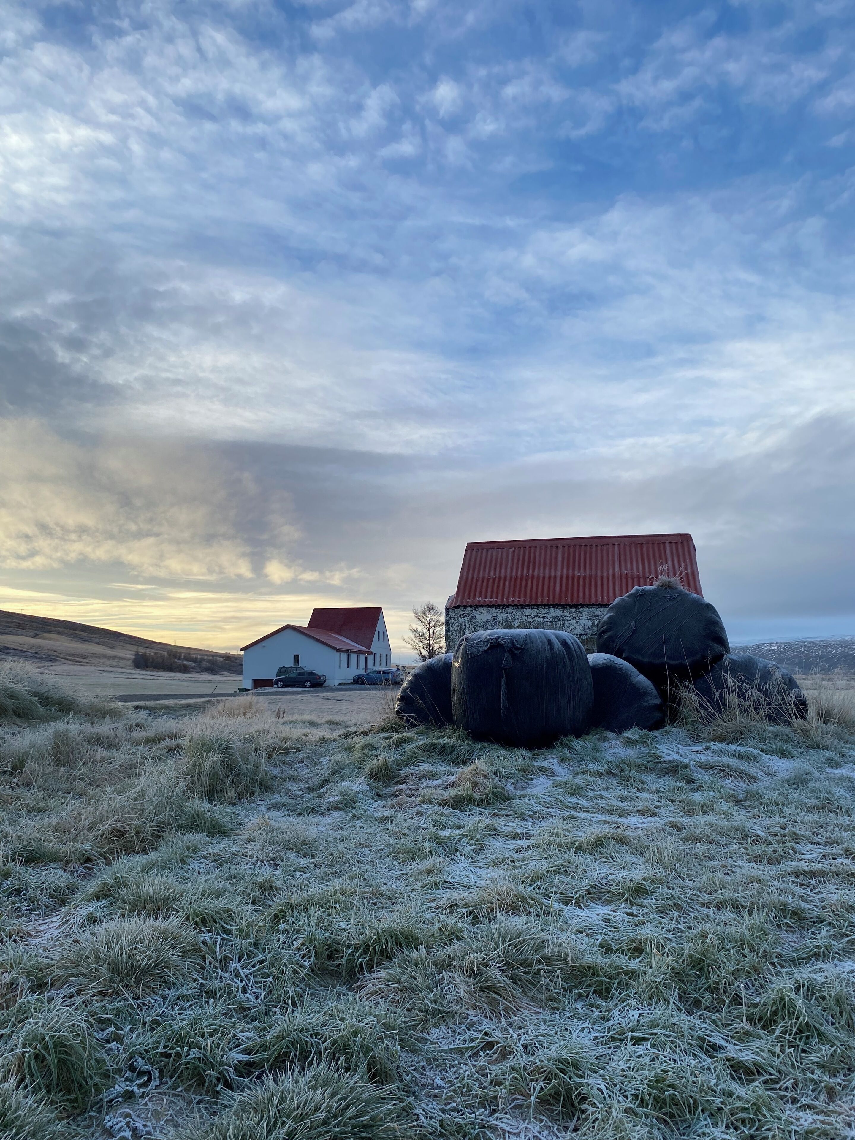 A rural landscape with a white building with a red roof, large black bales, and a barn in the background.
