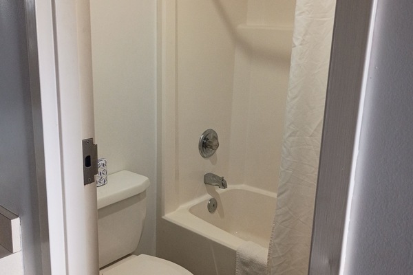 Combined shower/tub, free toiletries, hair dryer, towels