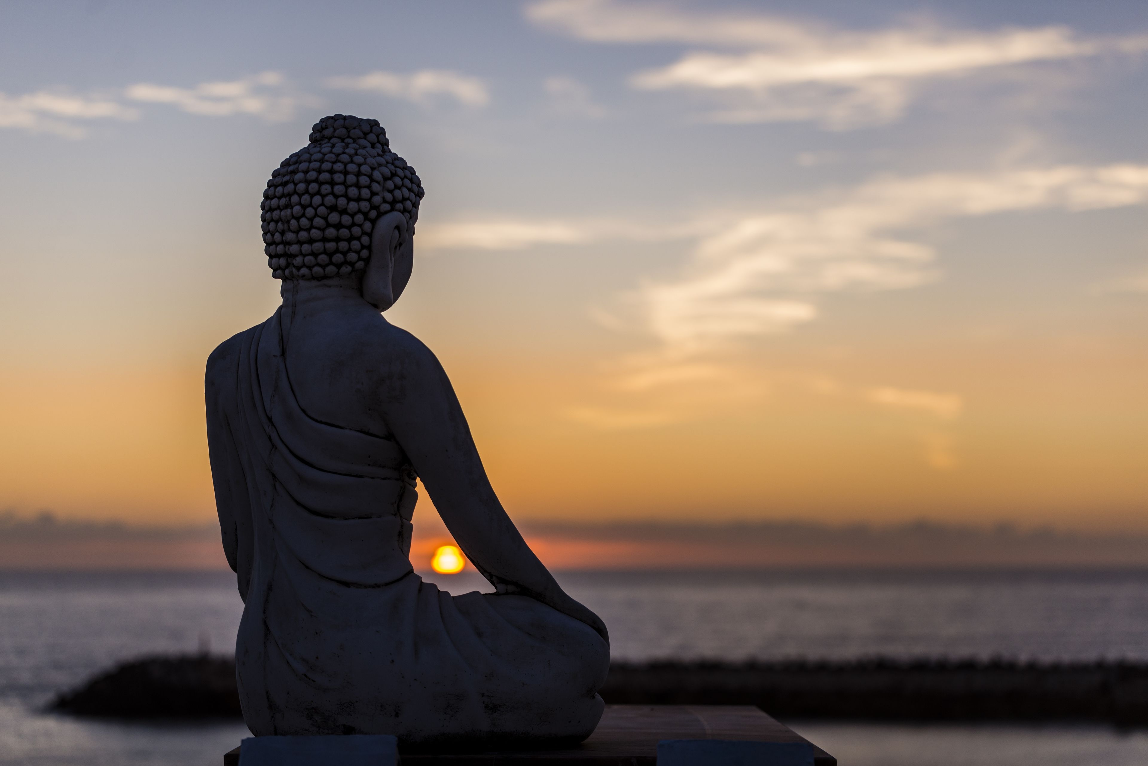 Photo - Sandhi House - Yoga & Wellness