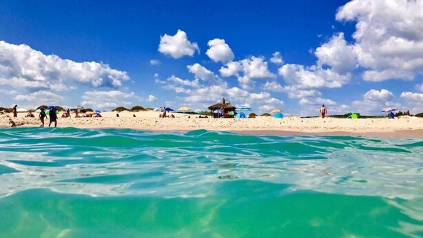 A beach with clear turquoise water, sandy shore, and beach umbrellas. - Salena Beach Hotel (Primorsko)