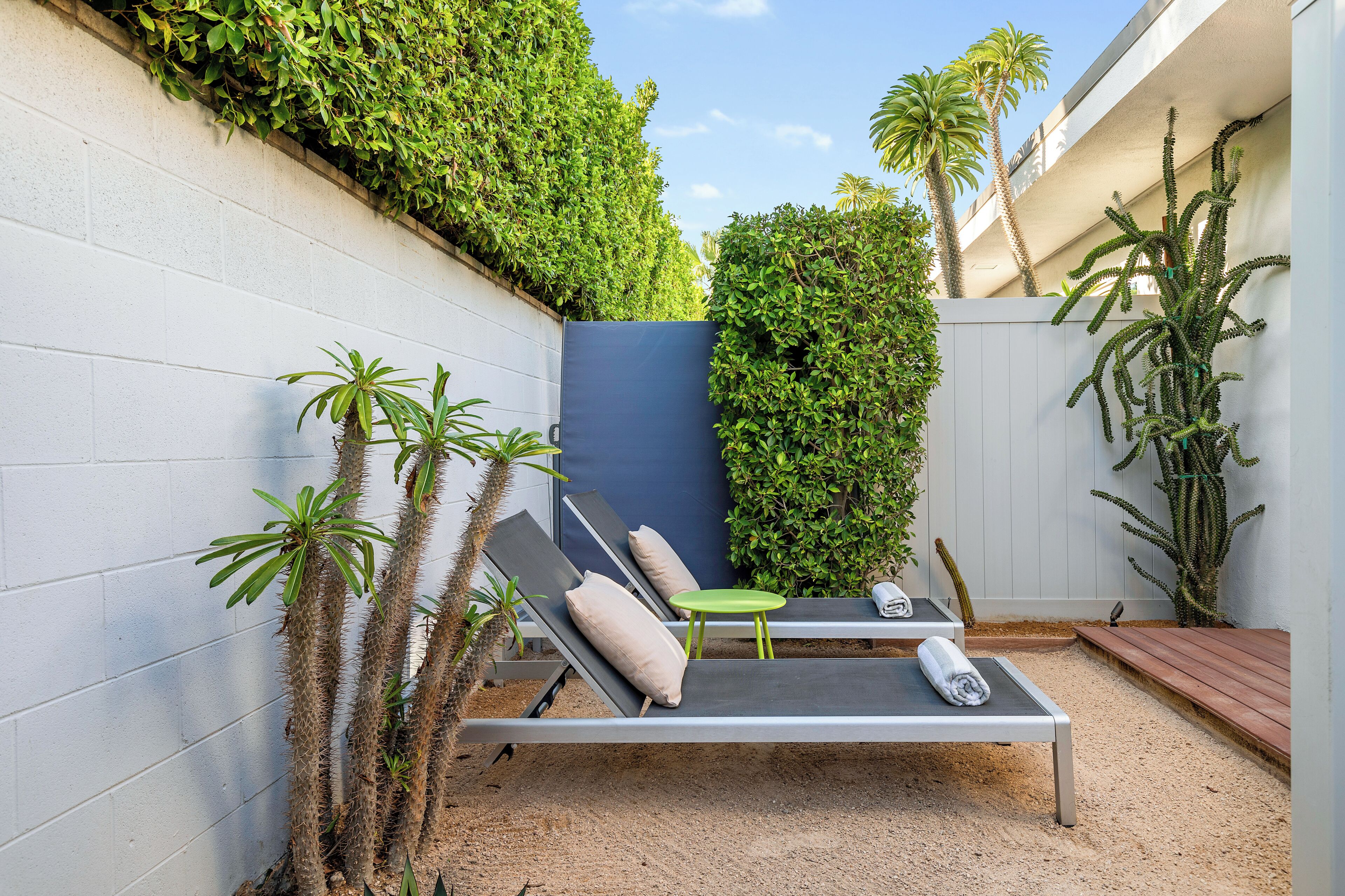 A sunlit outdoor seating area with a pool table, lounge chairs, and cacti.