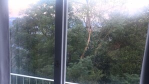 Ein Fenster mit weißem Rahmen und weißem Geländer, mit Blick auf einen dichten Wald.