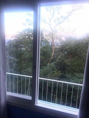 Vista desde la propiedad