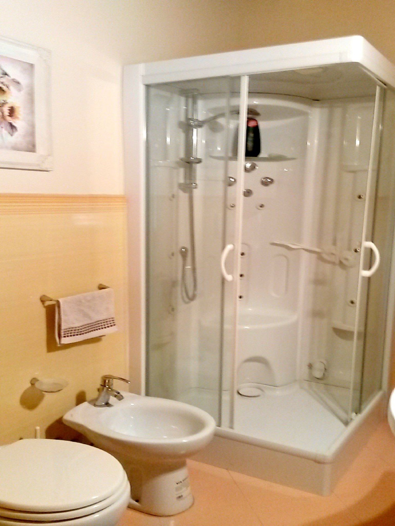 Une salle de bain avec une douche à parois de verre, des toilettes et un bidet.