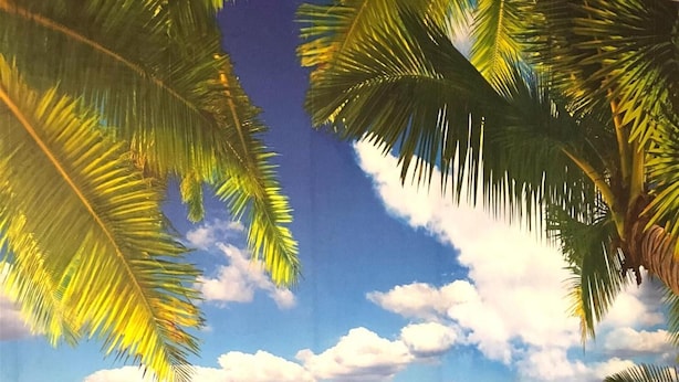 A bedroom with a bed, pillows, and a wall mural of a tropical beach scene. - I Faraglioni (Terrasini)