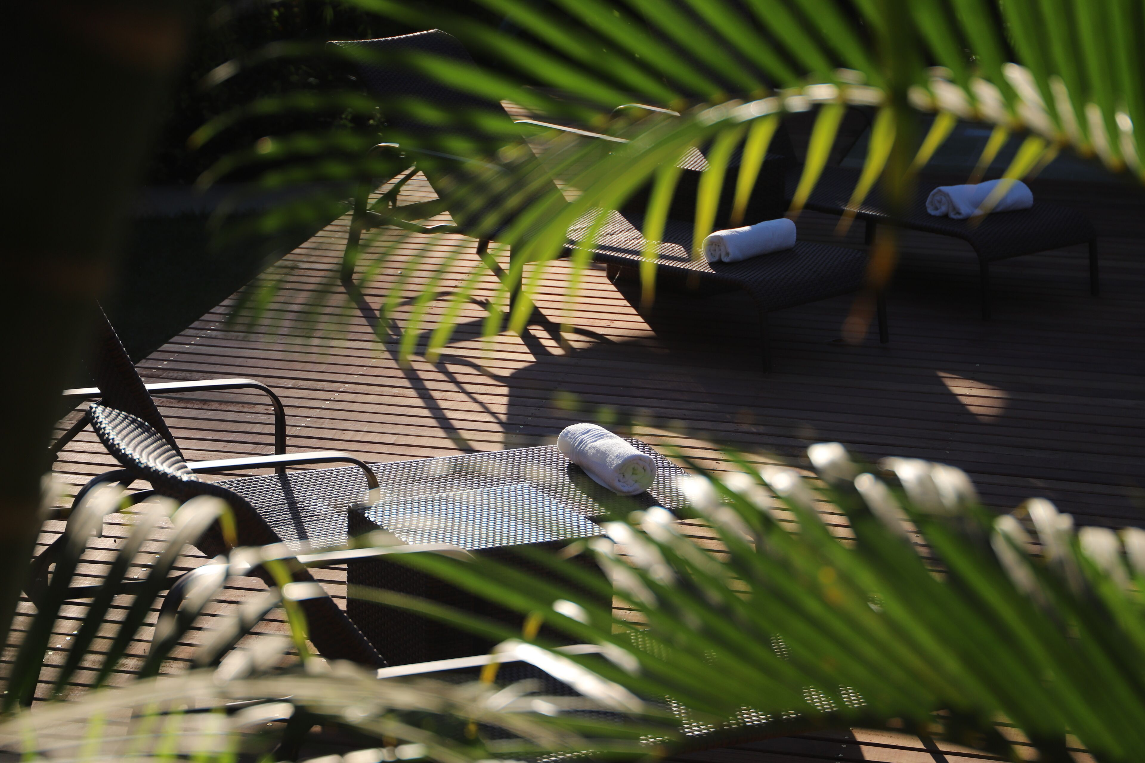 A wooden deck with lounge chairs and a table, surrounded by palm fronds.