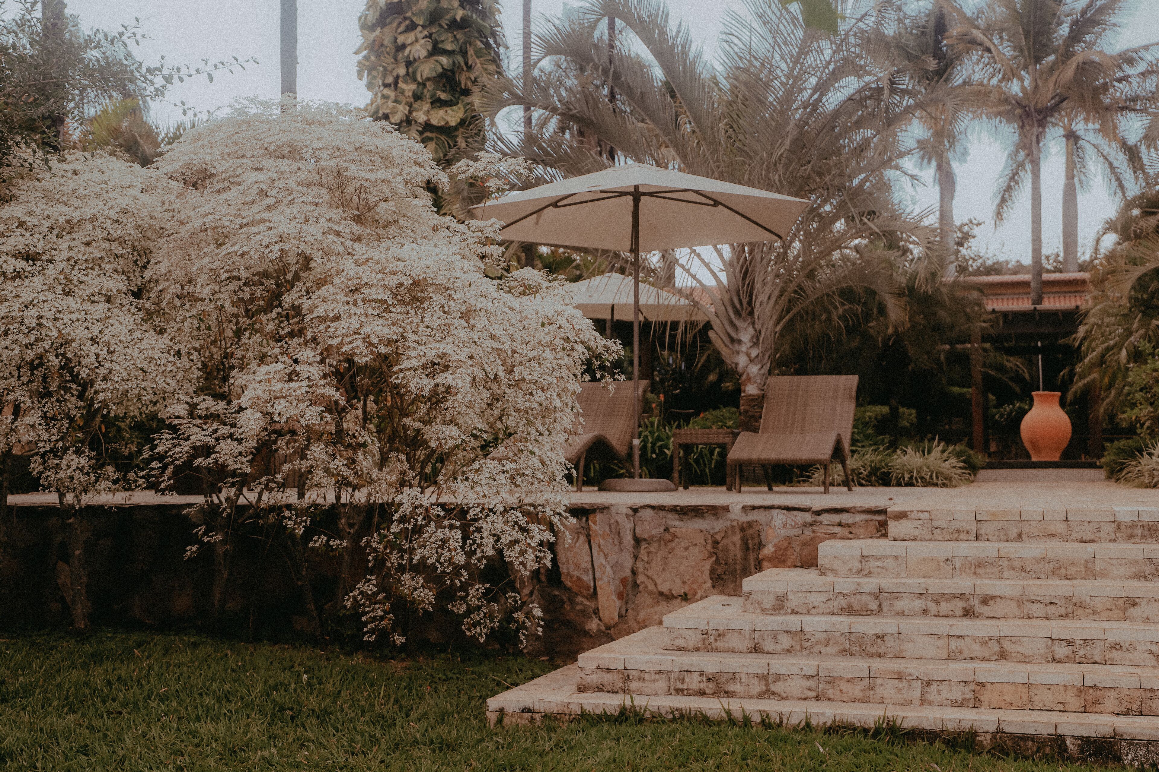 Jardim