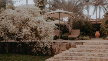 Jardim