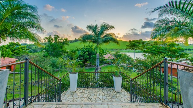 Una escalera conduce a un jardín exuberante, con vistas a un campo verde y árboles.