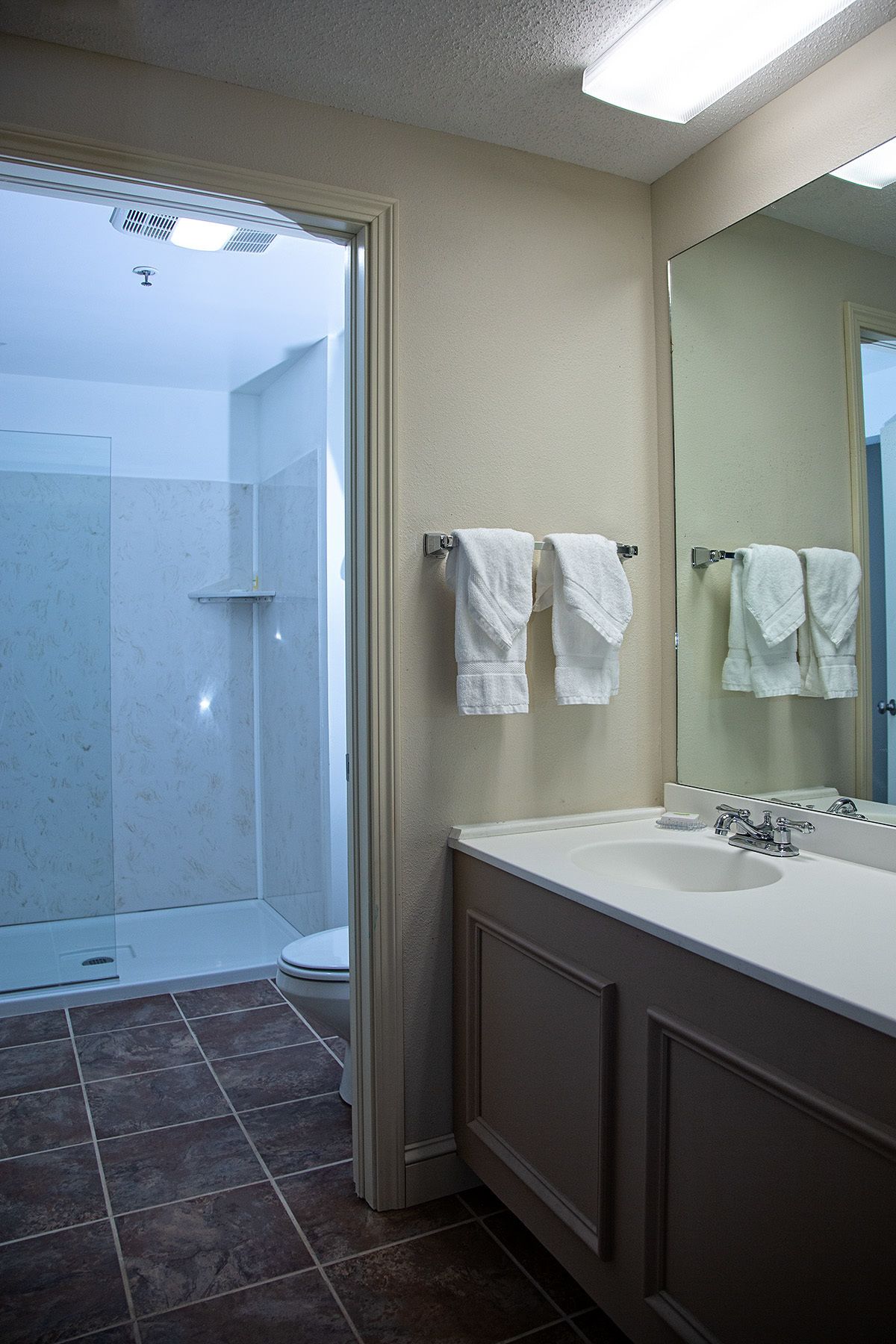 exclusive suite, 1 queen bed with sofa bed | bathroom | shower, towels