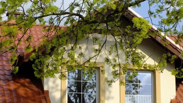 Un edificio con tetto in tegole, due finestre con cornici bianche e vegetazione verde che sovrasta le finestre.