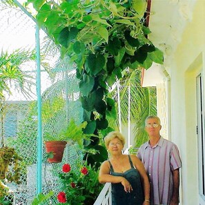 Vista desde la propiedad