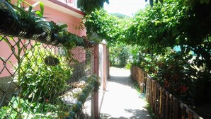 A narrow pathway flanked by lush greenery and a chain-link fence, leading to a building with a pink facade. - El Jardín de Daynelis (Viñales)