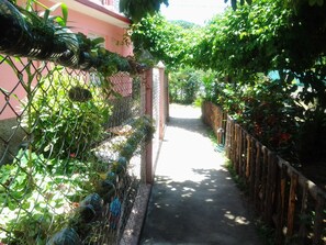 A narrow pathway flanked by lush greenery and a chain-link fence, leading to a building with a pink facade. - El Jardín de Daynelis (Viñales)