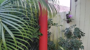 Property grounds - Casa Feliberto Gonzalez (Viñales)