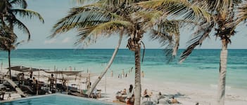 A poolside area with palm trees, a beach, and a clear view of the ocean.