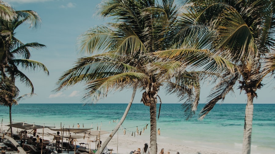Delek Tulum