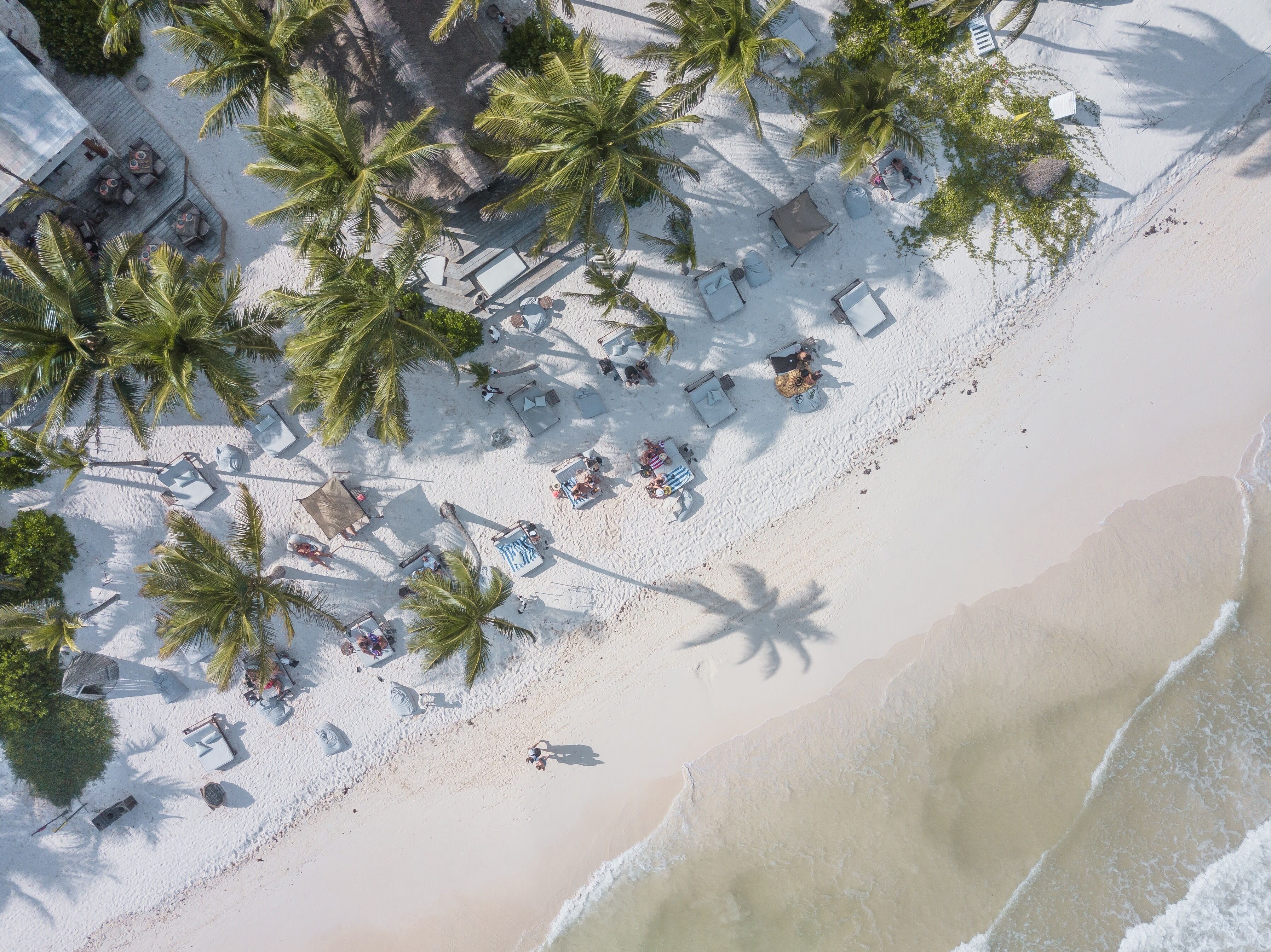 Oversigtsbillede af en strand med palmer, liggestole og parasoller.