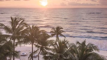 A beach with palm trees and lounge chairs, a sunset over the ocean, and a clear sky.