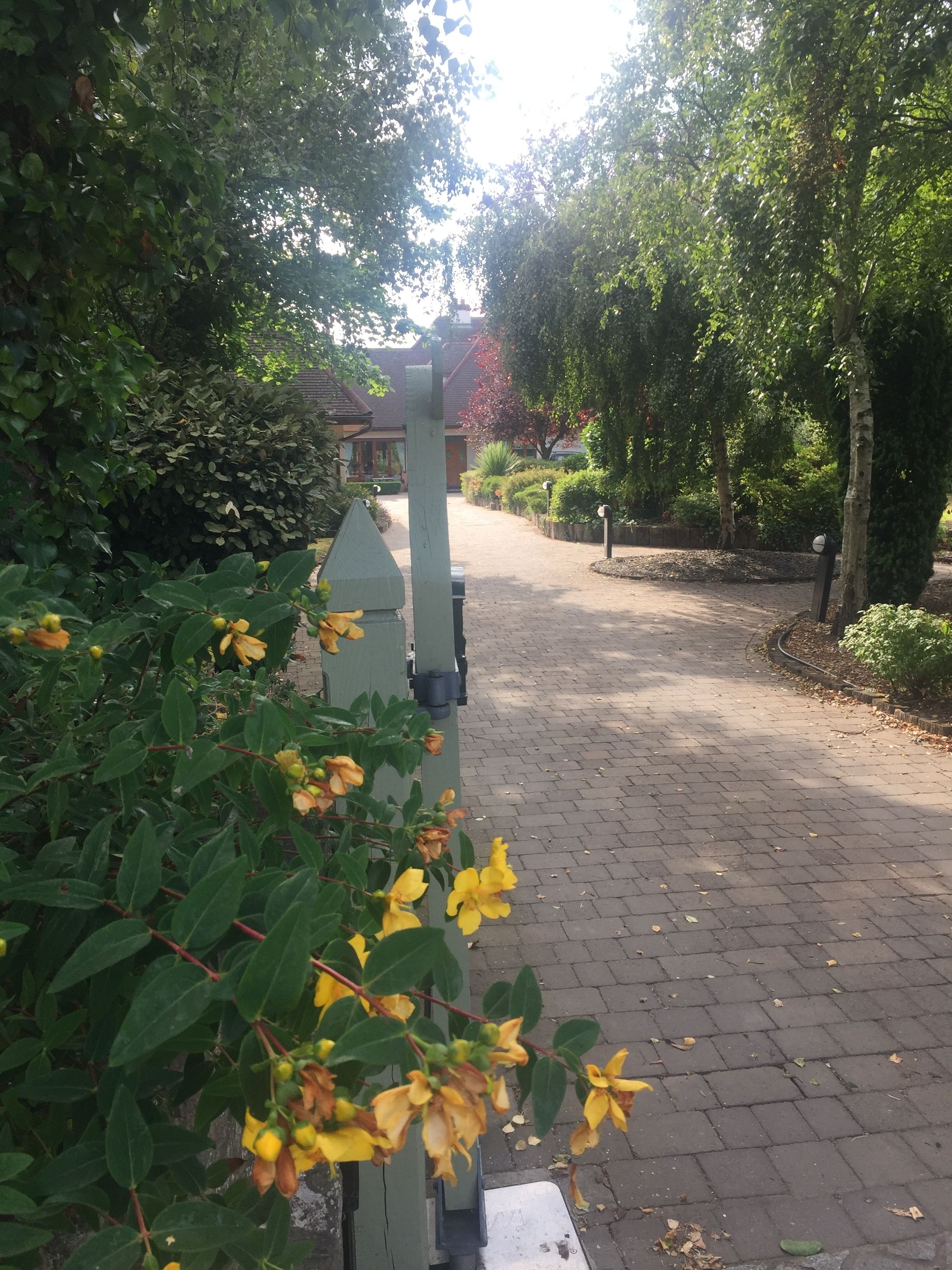 Un sendero pavimentado conduce a un edificio con tejado tradicional, rodeado de abundante vegetación y plantas florecientes.