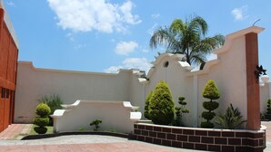 A courtyard with a white wall, a palm tree, and neatly trimmed bushes. - Motel Séptimo Eclipse - Adults Only (Acolman)