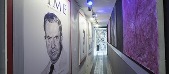 Coyotito Beds Coyoacán