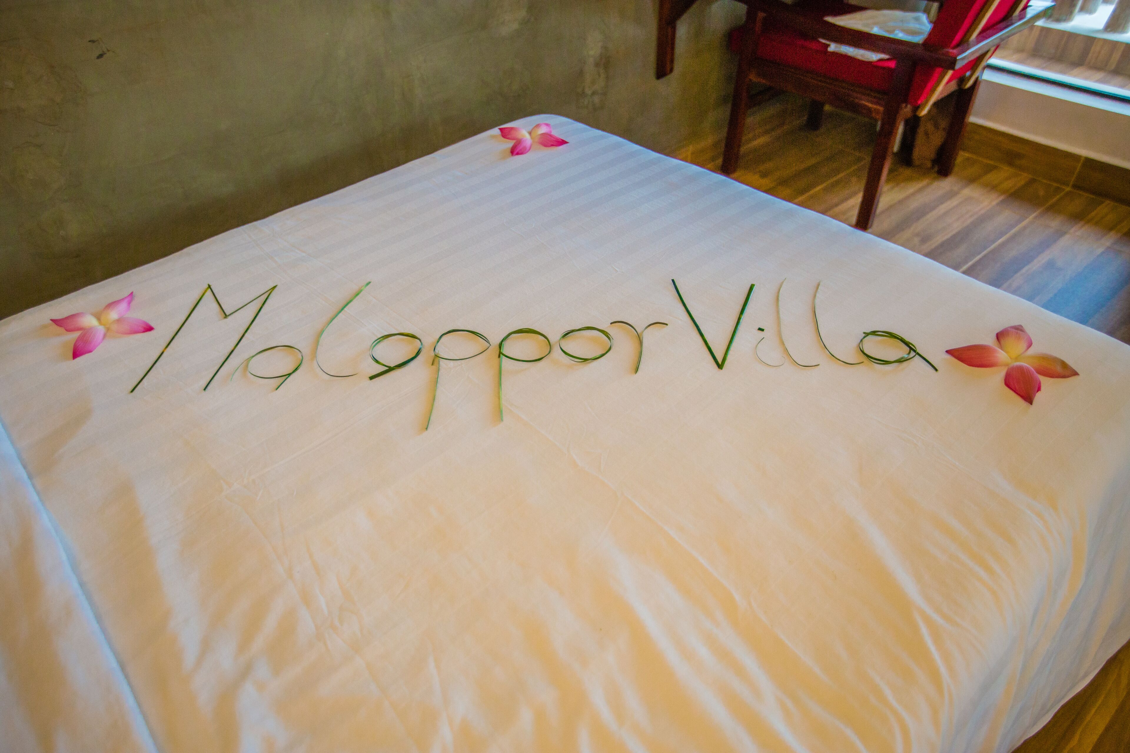 A bed with the name 'MolapporVilla' spelled out in green on the bedspread, surrounded by pink flowers.