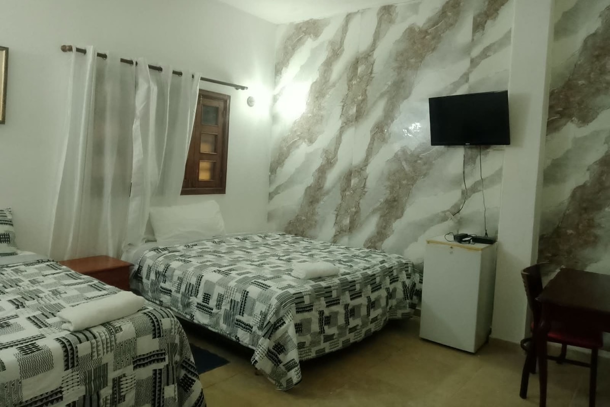 A bedroom with two beds, a TV, and a desk.