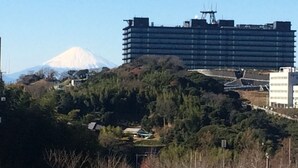 A building with multiple floors, surrounded by trees and a mountain in the background. - KEIKYU EX INN Yokosuka Research Park (Yokosuka)