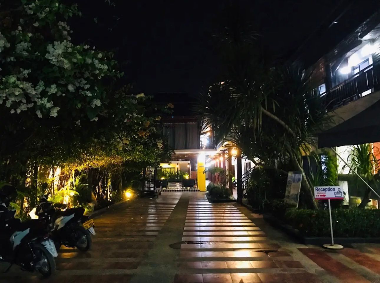 住宿正面 (夜晚)