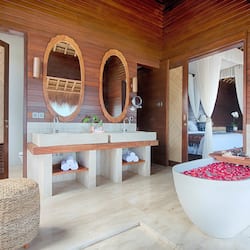 Separate tub and shower, deep soaking tub, rainfall showerhead
