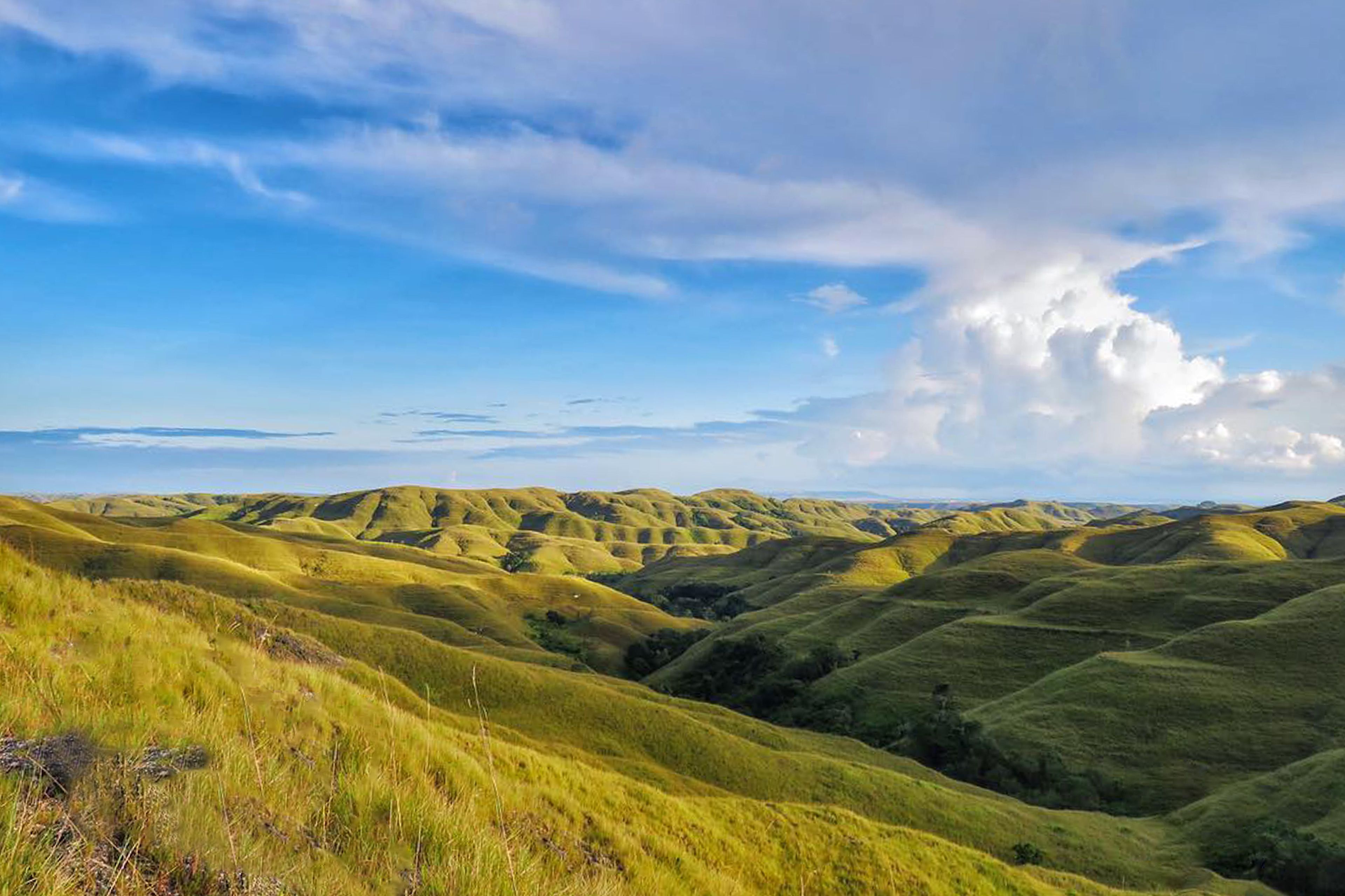 Rolling green hills with a clear sky and a large cloud.