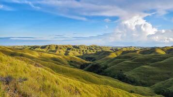 Rolling green hills with a clear sky and a large cloud.