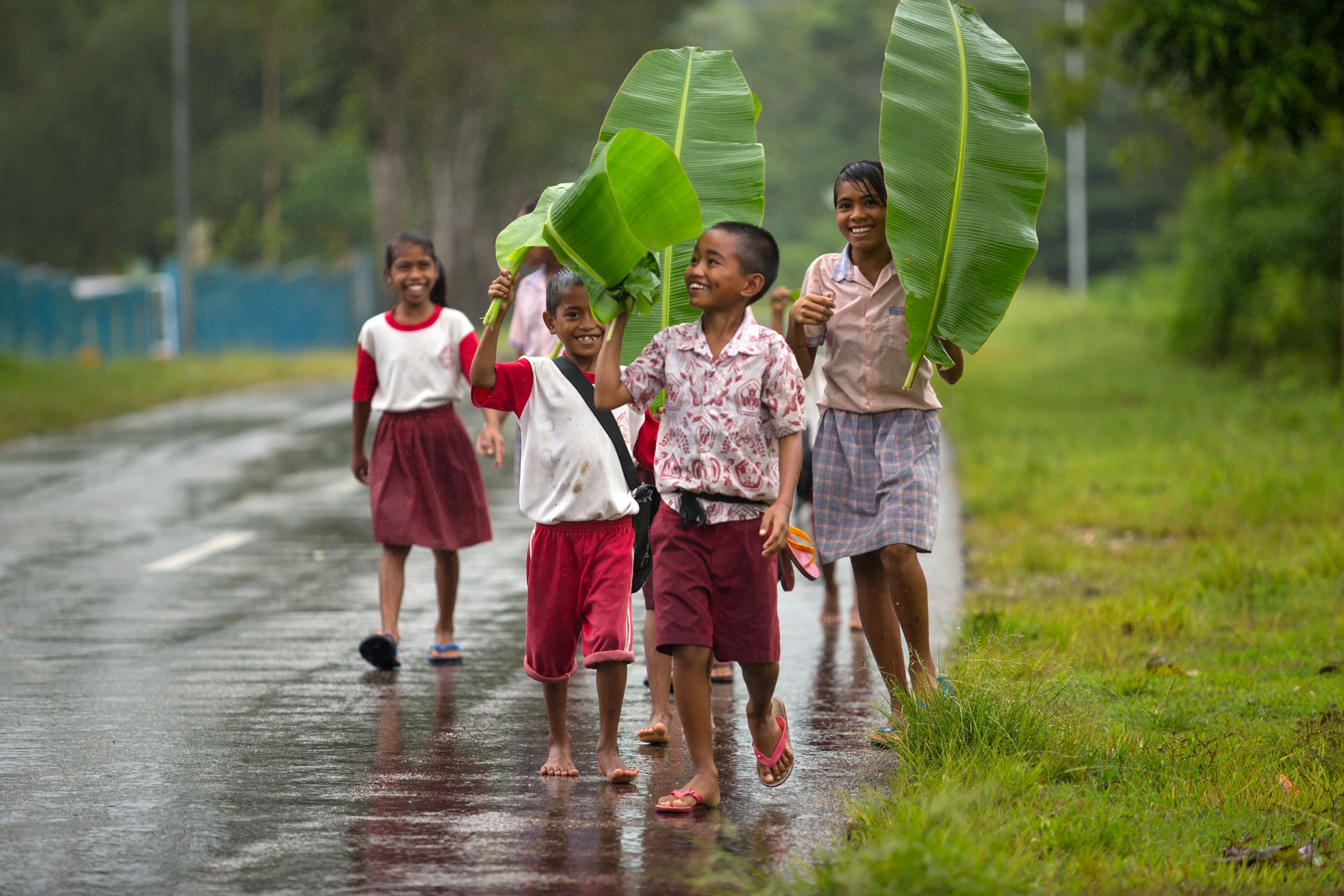 Un grupo de niños caminando sobre un camino mojado, sosteniendo hojas verdes grandes.