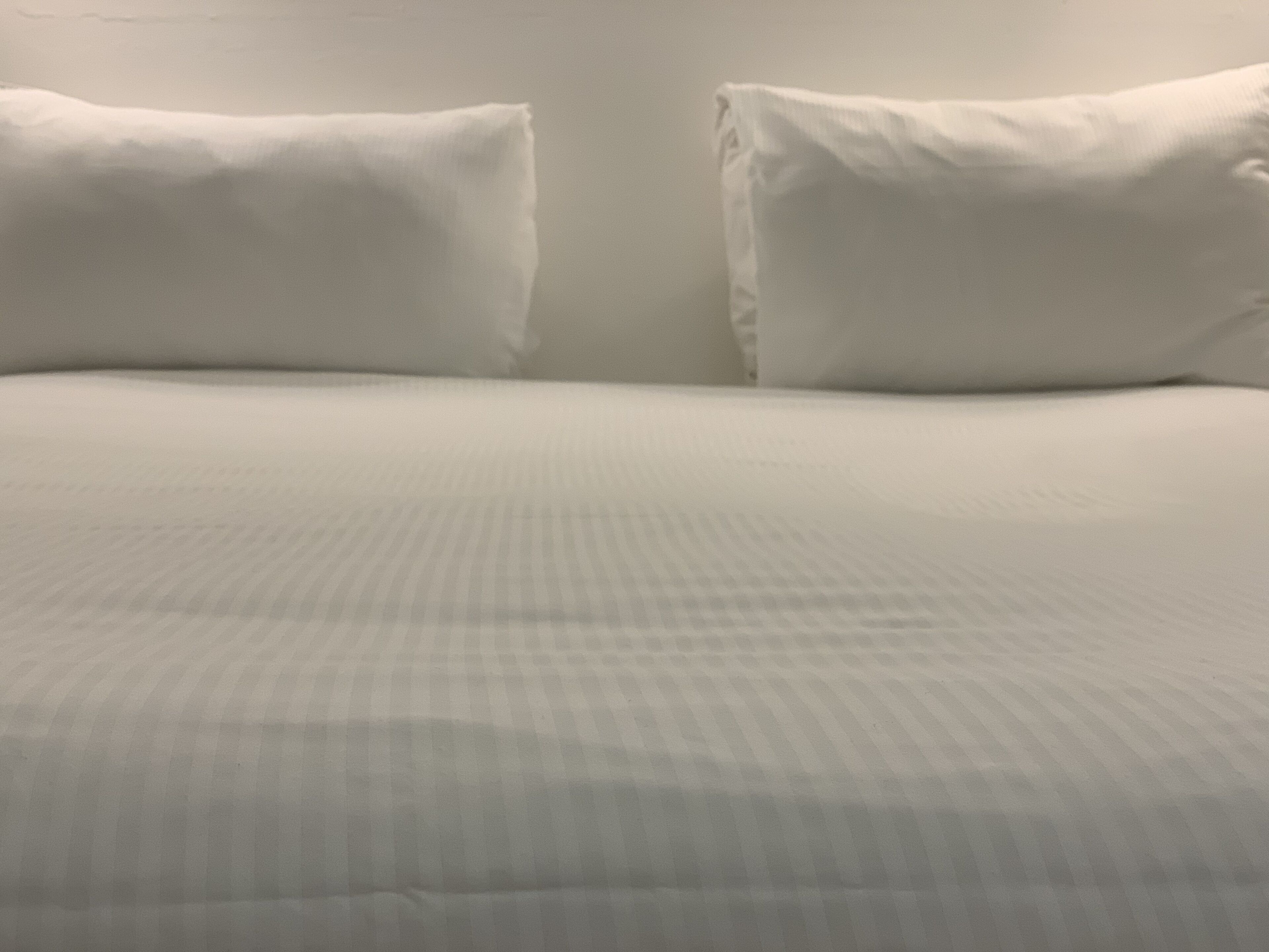 double room | 1 bedroom, premium bedding, down duvets, minibar