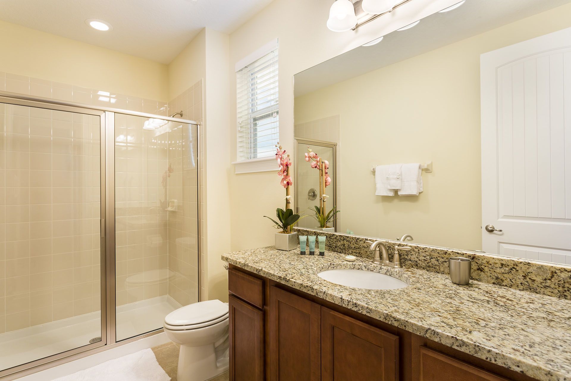 A bathroom with a glass-enclosed shower, a white toilet, a granite countertop with a sink, and a large mirror.