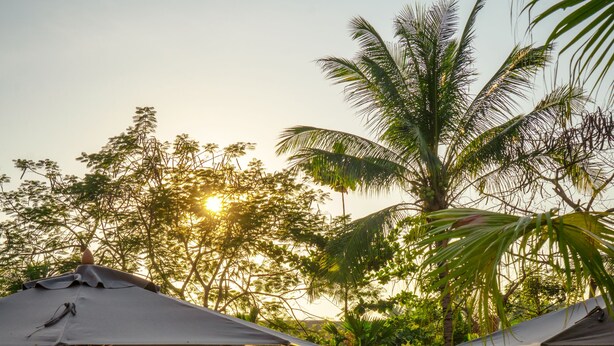 A serene outdoor pool area with lounge chairs and umbrellas, surrounded by lush greenery and palm trees. - Le Bel Air Resort Luang Prabang (Luang Prabang)