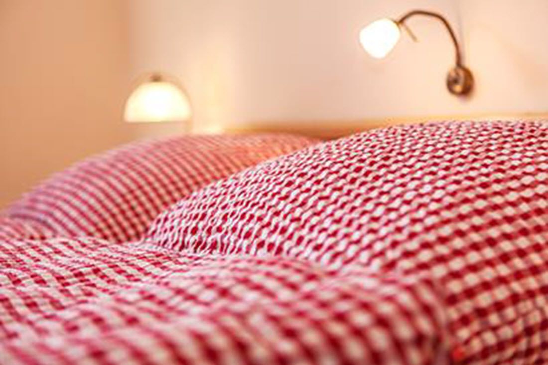 A close-up of a red and white checkered fabric, likely a blanket or cushion, with a soft texture.