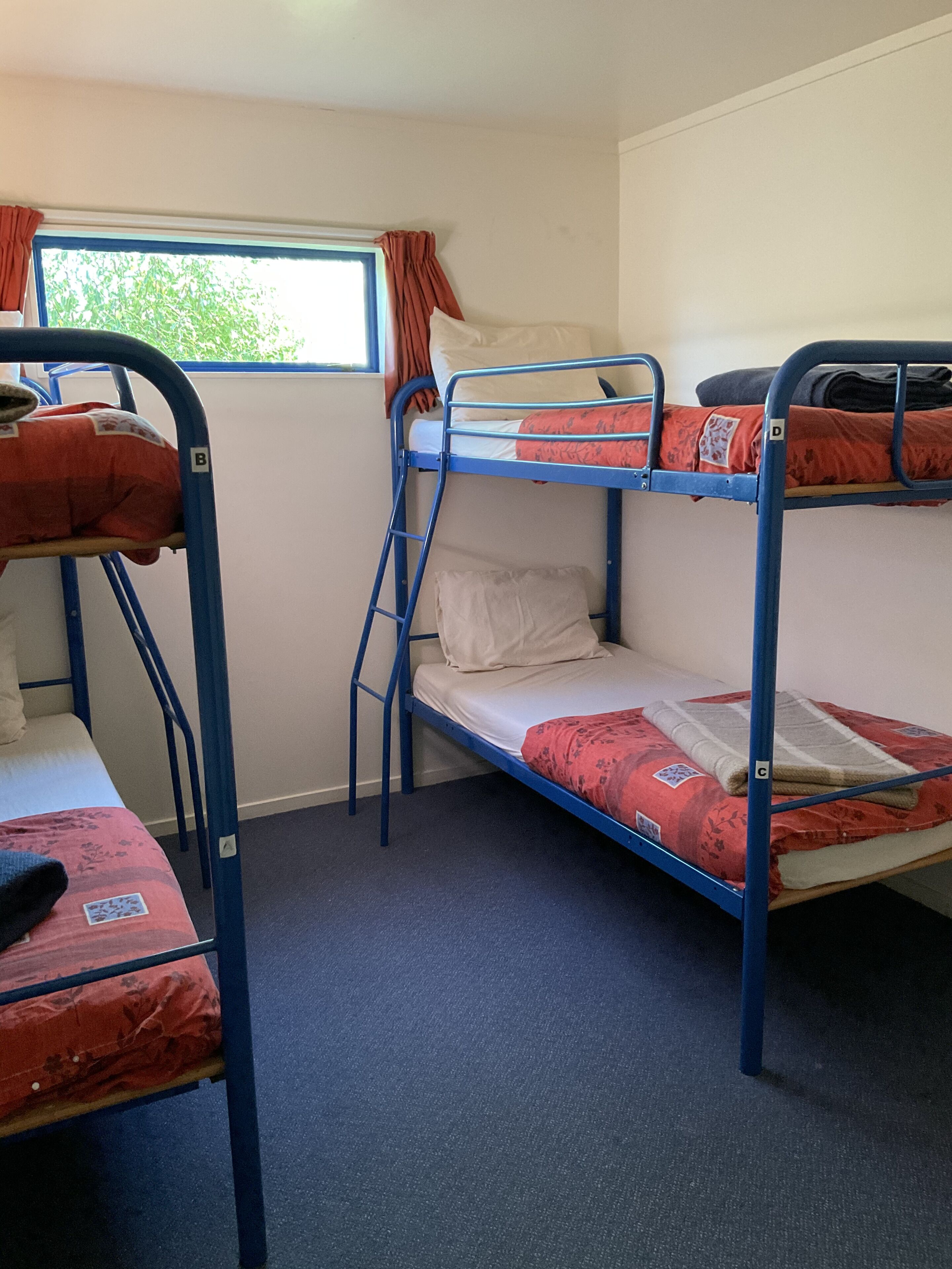 A dormitory room with bunk beds, a window with curtains, and a carpeted floor.