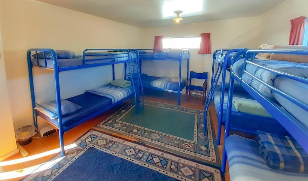 A dormitory room with bunk beds, a patterned rug, and a window with curtains.