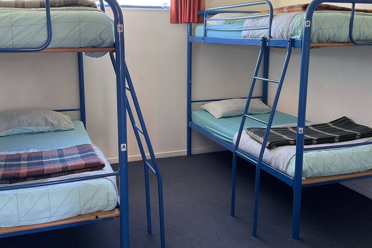 A dormitory room with bunk beds, a window with curtains, and a carpeted floor.
