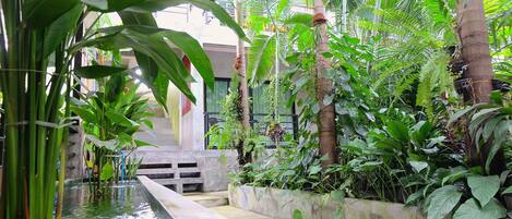 Terrein van de accommodatie