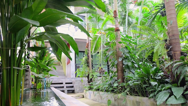 Un exuberante jardín interior con fuente de agua, jardineras de concreto y plantas altas.