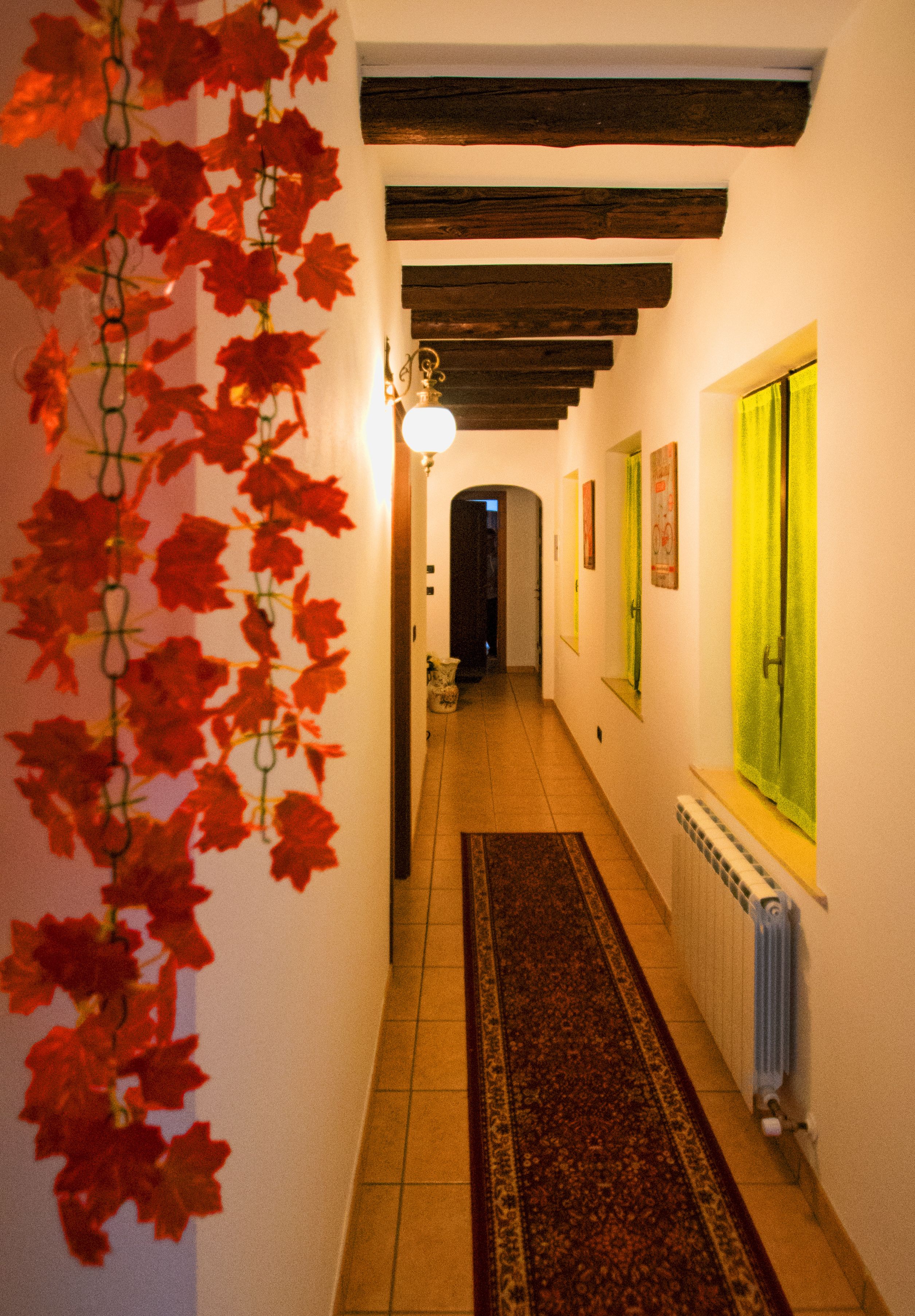 Un couloir étroit avec un radiateur, un tapis à motifs et une guirlande de lierre rouge suspendue.