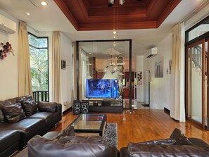 平板电视、DVD 播放器