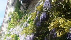 A building with a green ivy-covered exterior and purple flowers hanging from the walls. - La Croix du Reh (Châteauneuf-la-Forêt)
